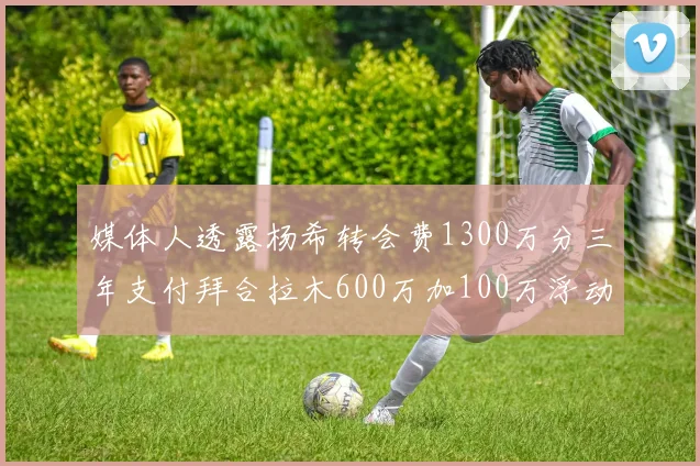 媒体人透露杨希转会费1300万分三年支付拜合拉木600万加100万浮动