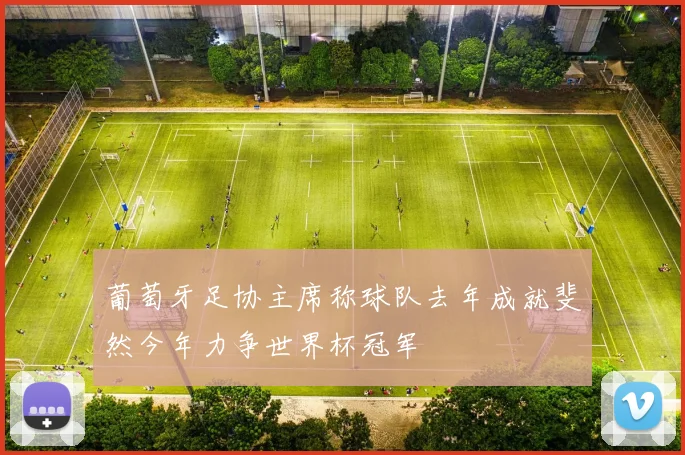 葡萄牙足协主席称球队去年成就斐然今年力争世界杯冠军