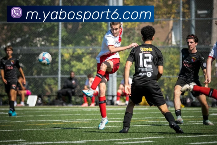 亚博体育APP 封面图